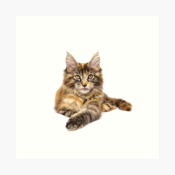 Item preview, Cat designed and sold by Hrfbml.