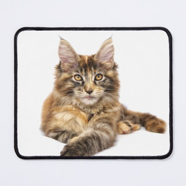 Item preview, Cat designed and sold by Arinas .