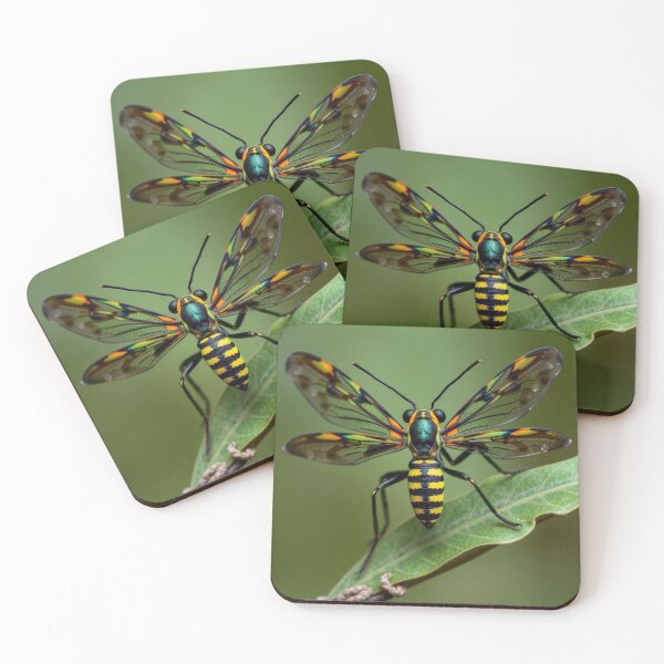 Item preview, Nature designed and sold by TreatLLC.