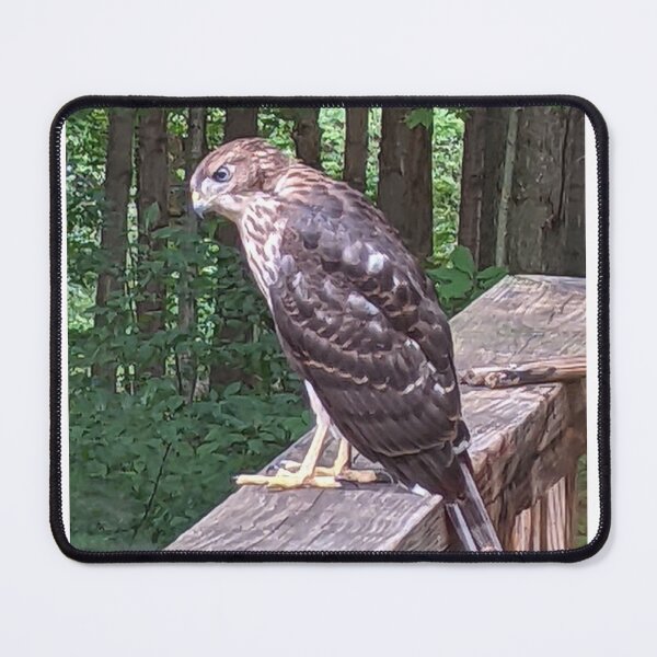 Item preview, Outdoor First Flight designed and sold by GigiG123.