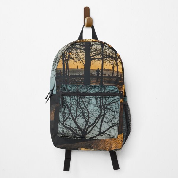 Item preview, Winter Sunset at Battery Park designed and sold by LeandroNazar.