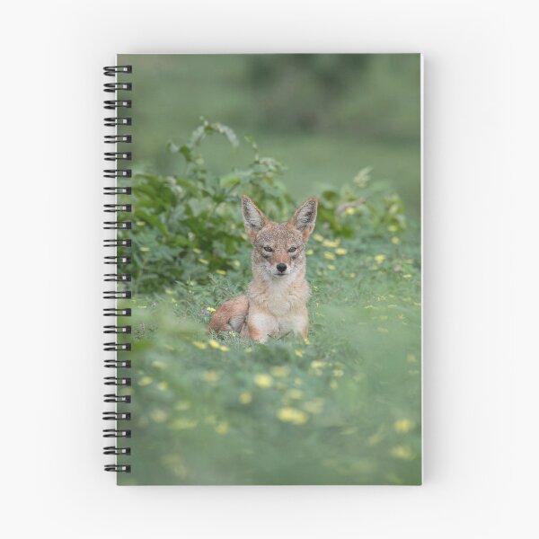 Item preview, A jackal resting on wild flowers designed and sold by LeandroNazar.