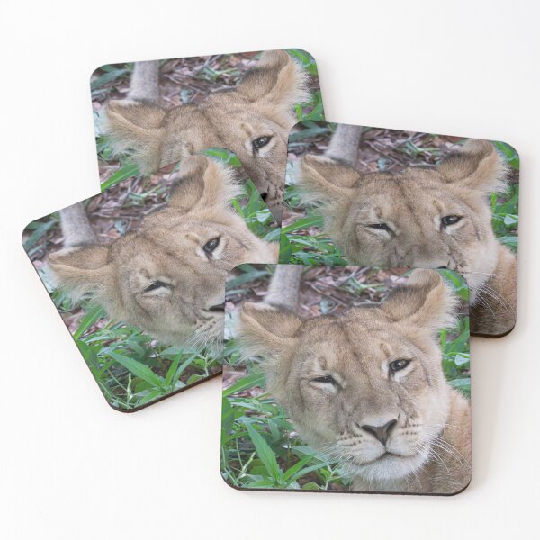 Item preview, Sleepy Lion designed and sold by LeandroNazar.
