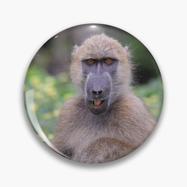 Item preview, A baboon chewing on some wild flowers designed and sold by LeandroNazar.