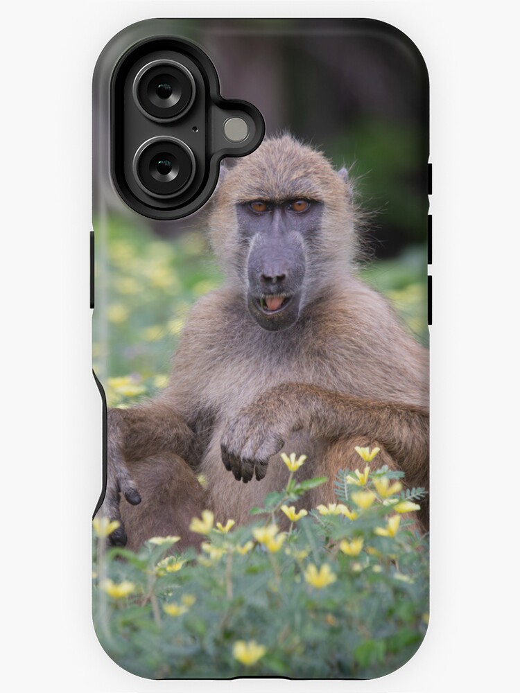 Imagen 1 de 4, Funda de iPhone con la obra Un babuino masticando algunas flores silvestres., diseñada y vendida por LeandroNazar.