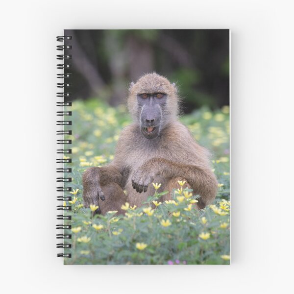 Item preview, A baboon chewing on some wild flowers designed and sold by LeandroNazar.