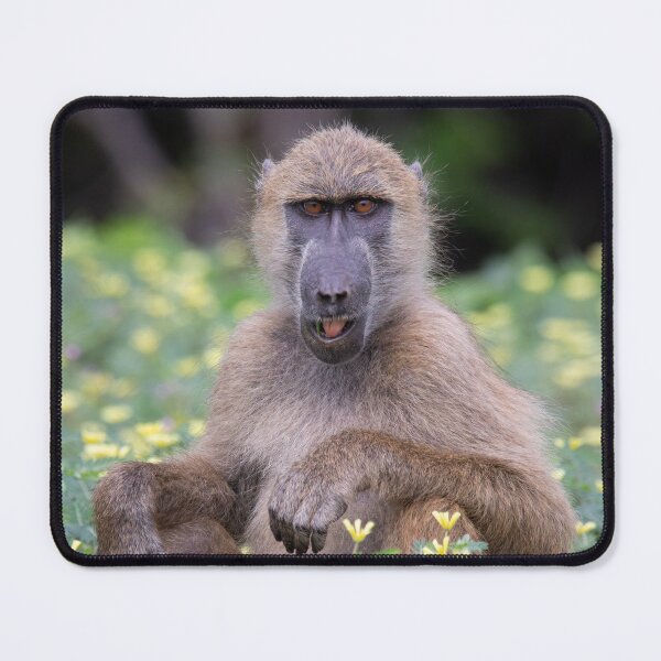 Item preview, A baboon chewing on some wild flowers designed and sold by LeandroNazar.