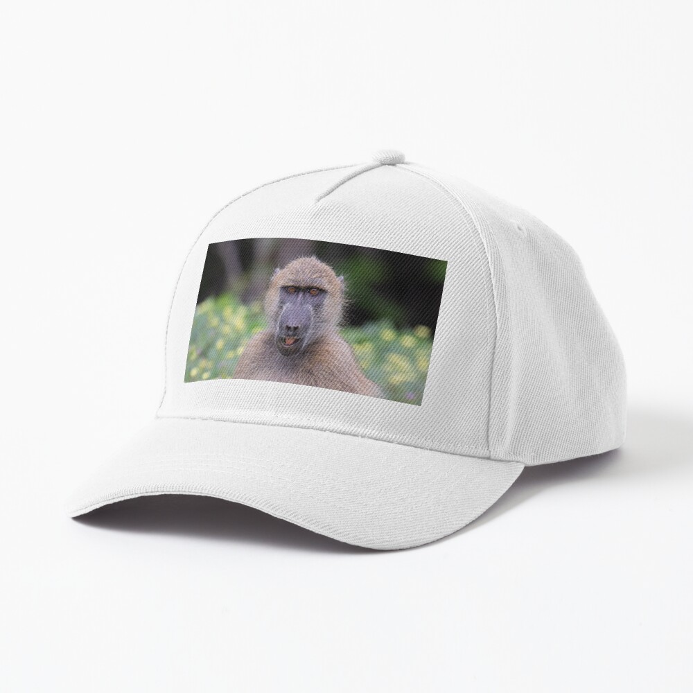 Vista previa del artículo con la obra «Gorra de béisbol», diseñado y vendido por LeandroNazar.