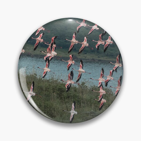 Artikelvorschau, Flamingos im Flug entworfen und verkauft von Your search is over, it’s here! .