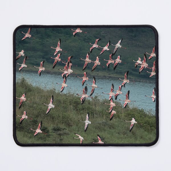 Item preview, Flamingoes in Flight designed and sold by Your search is over, it’s here! .
