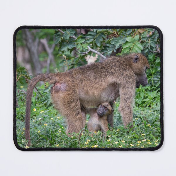 Item preview, A baboon mom and her baby designed and sold by LeandroNazar.