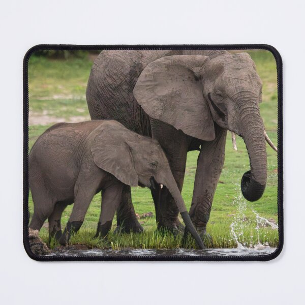 Item preview, Elephants Drinking at Chobe River designed and sold by LeandroNazar.