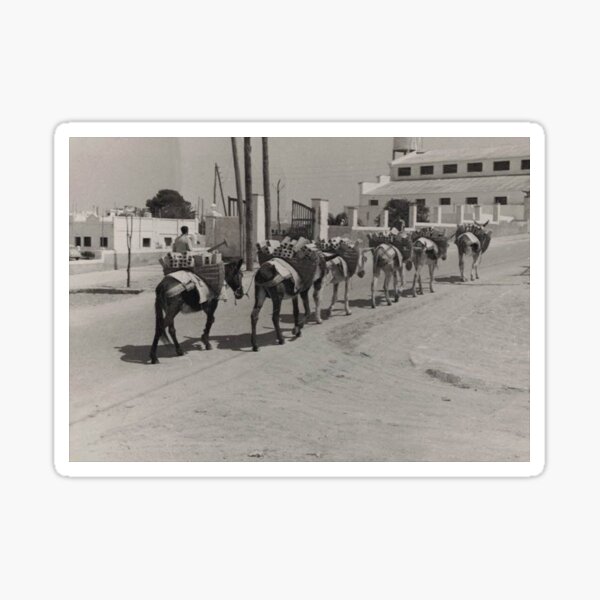 Vista previa del artículo con la obra «Viaje por Rota, España: Caravana de burros con "bloques", 1958», diseñado y vendido por jzmurdock.