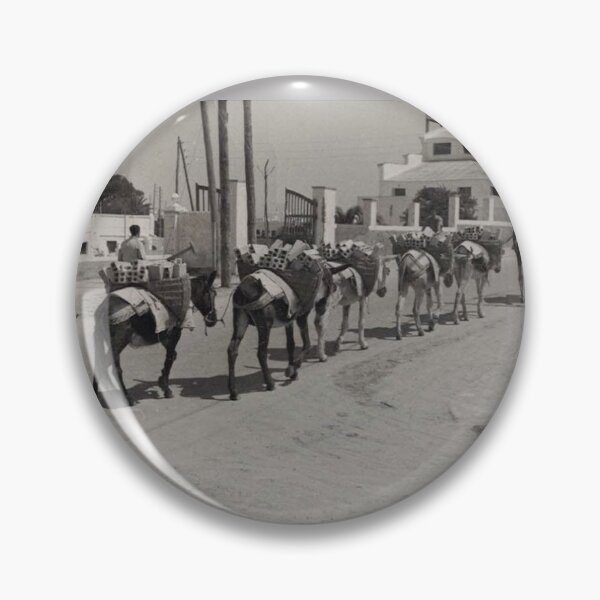 Item preview, Journey Through Rota, Spain: Donkey Caravan Carrying "Bloques", 1958 designed and sold by jzmurdock.