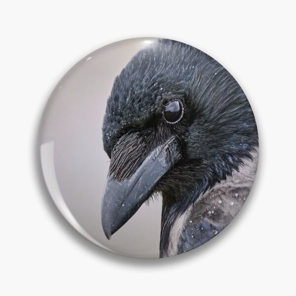 Item preview, Hooded Crow designed and sold by Tom McPherson Photography.