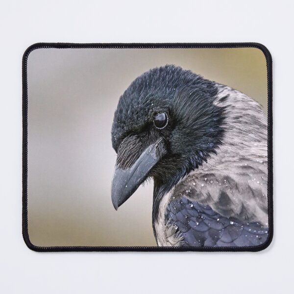 Item preview, Hooded Crow designed and sold by Tom McPherson Photography.