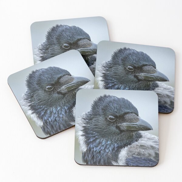 Item preview, Hooded Crow designed and sold by Tom McPherson Photography.