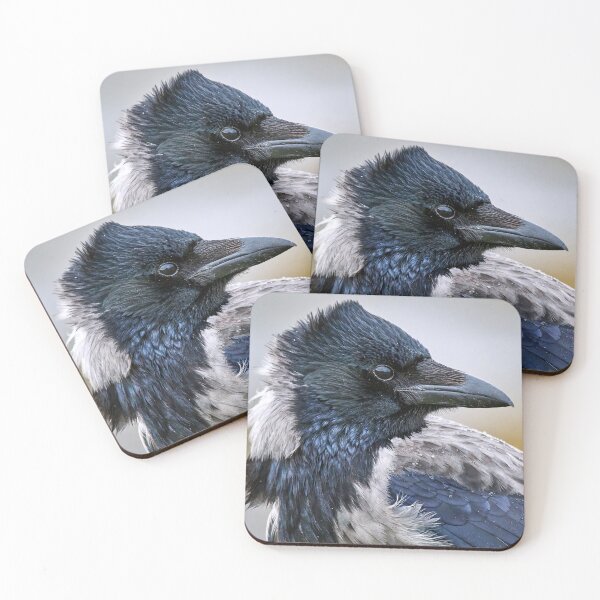 Item preview, Hooded Crow designed and sold by Tom McPherson Photography.