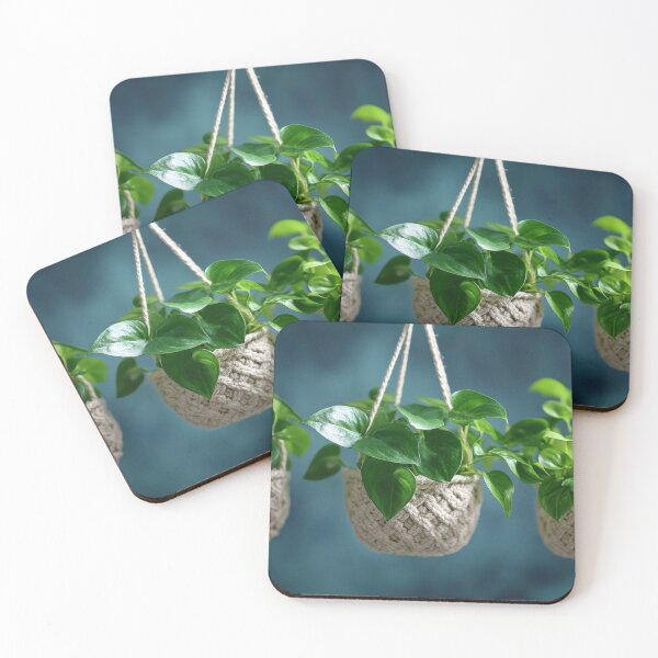 Item preview, Hanging Greenery in Cozy Baskets designed and sold by Twisted Kids.
