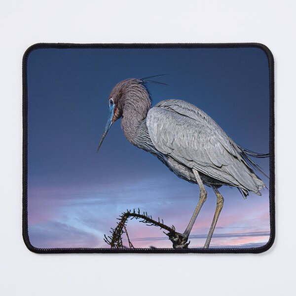 Item preview, Perfect Harmony designed and sold by Your search is over, it’s here! .