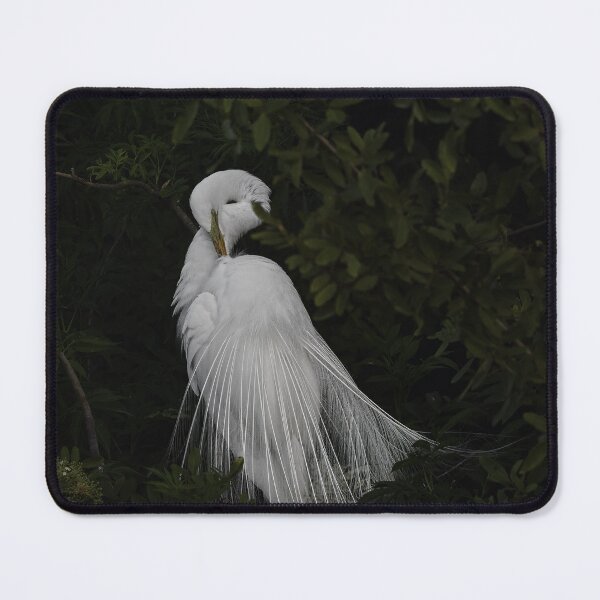 Item preview, Early Morning Routine designed and sold by Your search is over, it’s here! .