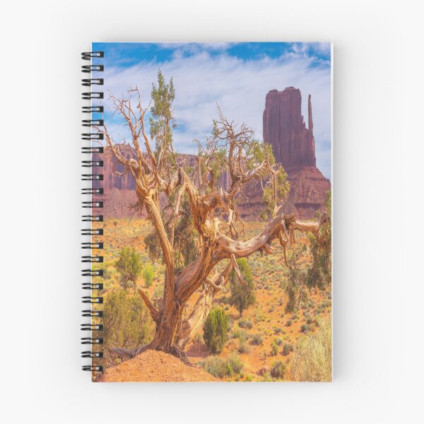 Item preview, Valle del monumento designed and sold by JohnDSmith.