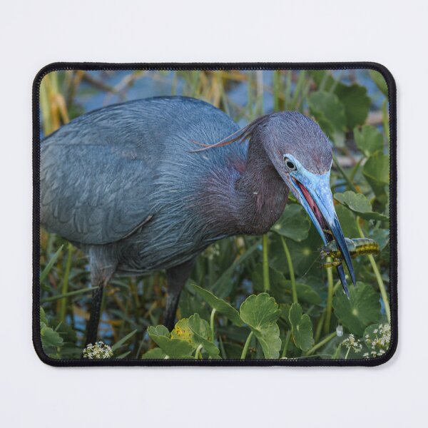 Item preview, Appetizers anyone? designed and sold by Your search is over, it’s here! .