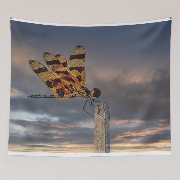 Item preview, Make a Wish  designed and sold by Your search is over, it’s here! .