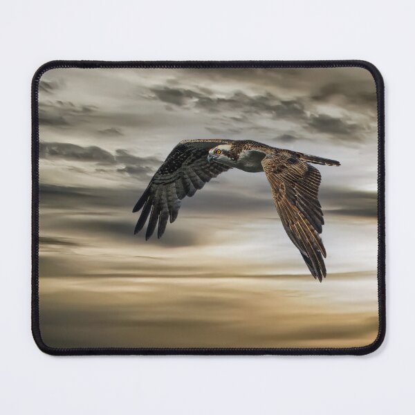 Item preview, Heading Home designed and sold by Your search is over, it’s here! .