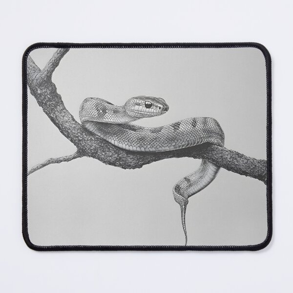 Item preview, Realistic Snake drawing designed and sold by Pencil-Art.