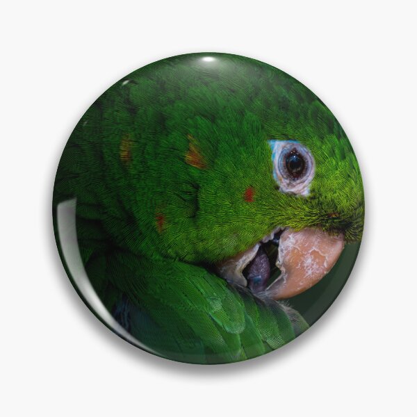 Item preview, The Rescued Parrot designed and sold by LeandroNazar.