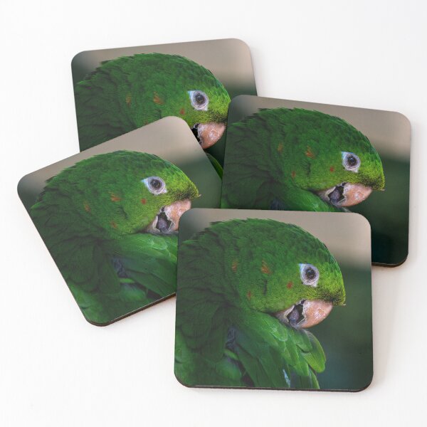 Item preview, The Rescued Parrot designed and sold by LeandroNazar.