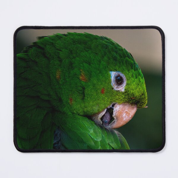 Item preview, The Rescued Parrot designed and sold by LeandroNazar.