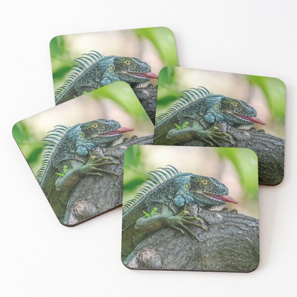 Item preview, Gotcha! designed and sold by Your search is over, it’s here! .