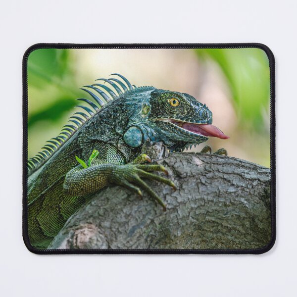 Item preview, Gotcha! designed and sold by Your search is over, it’s here! .