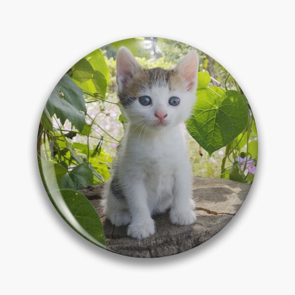 Item preview, Adorable Kitten on a Tree Stump  designed and sold by inspiration3.