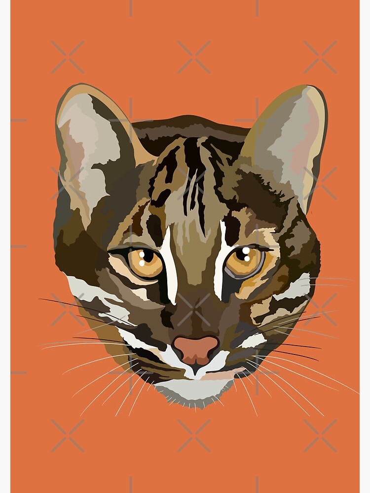 G is for Golden Cat, Golden Cat Illustration – Rare Wild Feline