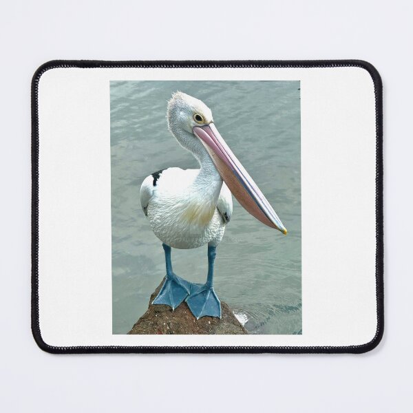 Item preview, AUSSIE PELICAN designed and sold by trevorp.
