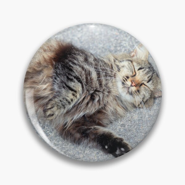 Item preview, Portrait of cute lying street cat designed and sold by olena2552.