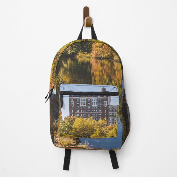 Item preview, The Fall at Upper West side of Central Park designed and sold by LeandroNazar.