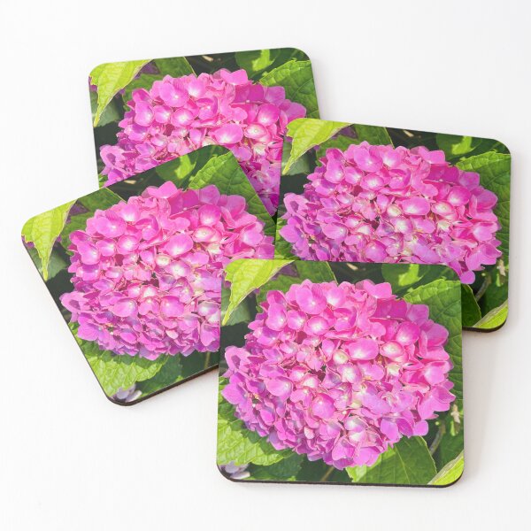 Item preview, Bright Pink Hydrangea Photograph designed and sold by Shannon Greve.