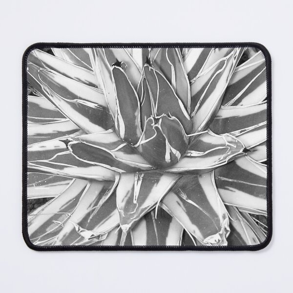 Item preview, Garfield Park Conservatory Agave Photograph designed and sold by Shannon Greve.