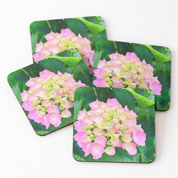 Item preview, Pink Hydrangea Photograph designed and sold by Shannon Greve.