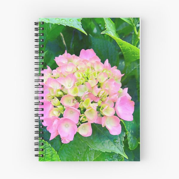 Item preview, Pink Hydrangea Photograph designed and sold by Shannon Greve.
