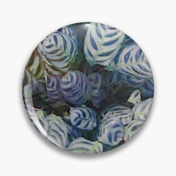Item preview, Garfield Park Conservatory Plant Photograph designed and sold by Shannon Greve.