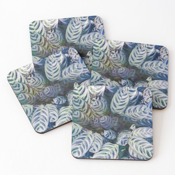 Item preview, Garfield Park Conservatory Plant Photograph designed and sold by Shannon Greve.