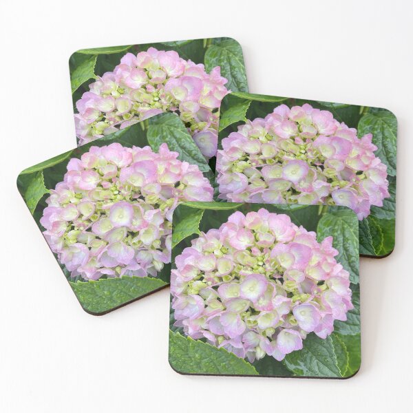 Item preview, Purple Hydrangea Photograph designed and sold by Shannon Greve.