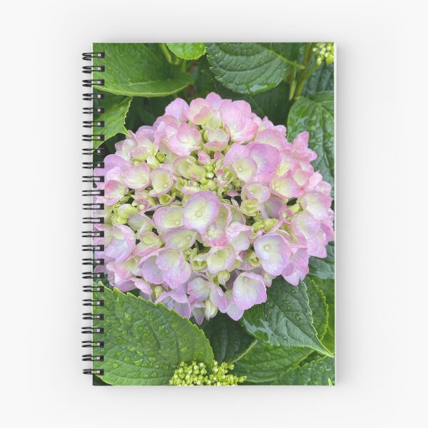 Item preview, Purple Hydrangea Photograph designed and sold by Shannon Greve.