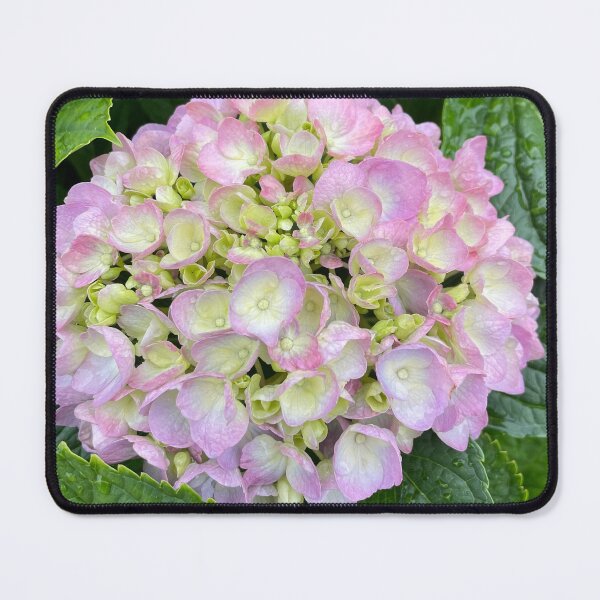 Item preview, Purple Hydrangea Photograph designed and sold by Shannon Greve.