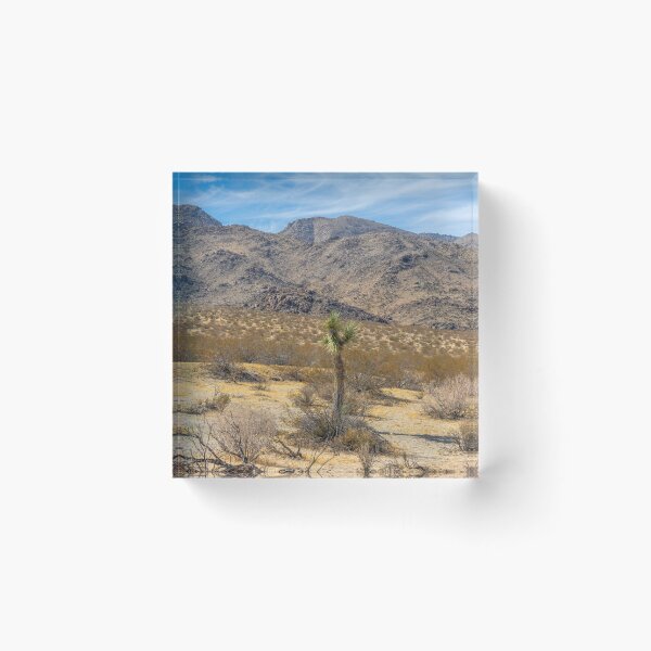 Item preview, Joshua Tree and Mountains designed and sold by SafariByMarisa.